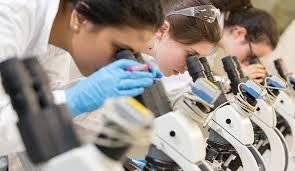 Tamara Cappellari, Nicola Rosset, Raimondo Donzel e Fabrizio Clermont (foto Antonella Zilio)