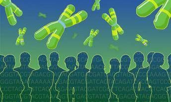 Verso il pangenoma umano, pronta la mappa più completa di geni e varianti Verso il pangenoma umano, pronta la mappa più completa di geni e varianti