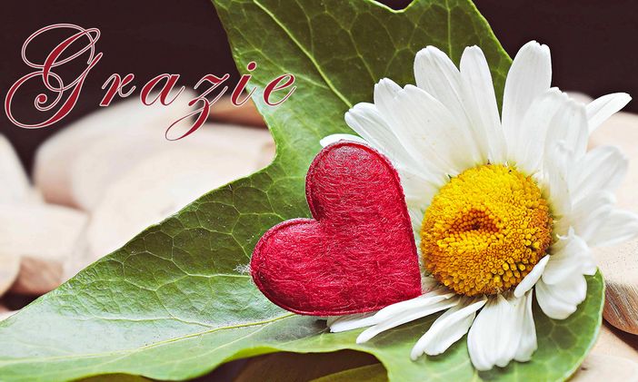 Auguri auguri aguri e ringraziamenti