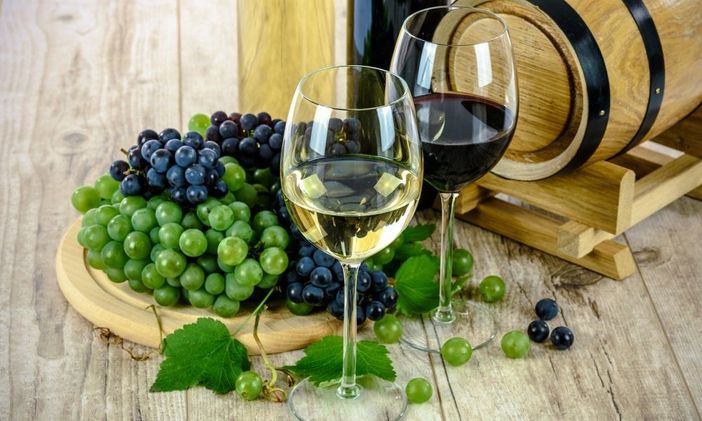 La viticoltura valdostana stella del Salone del Vino di Torino La viticoltura valdostana stella del Salone del Vino di Torino