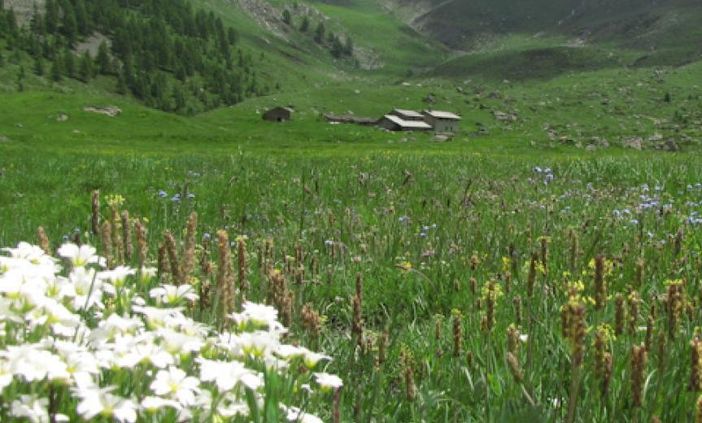 Un investimento per natura e comunità: il contributo al Comune di Rhêmes-Notre-Dame Un investimento per natura e comunità: il contributo al Comune di Rhêmes-Notre-Dame