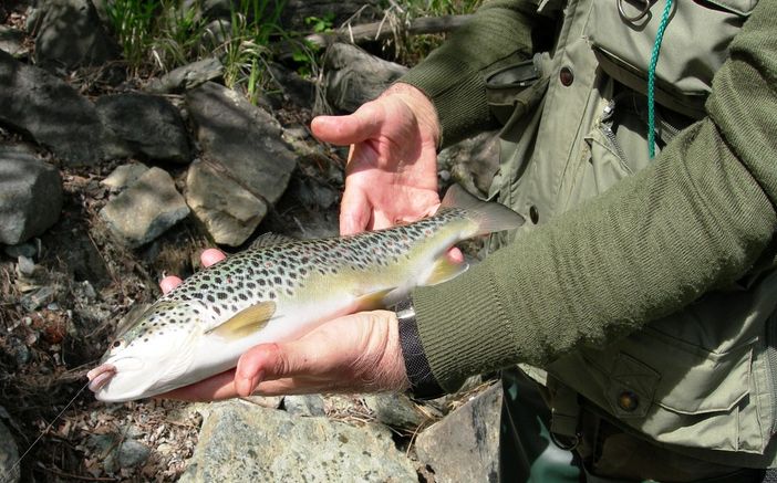 Novità per la pesca: approvato emendamento cruciale nel decreto milleproroghe Novità per la pesca: approvato emendamento cruciale nel decreto milleproroghe