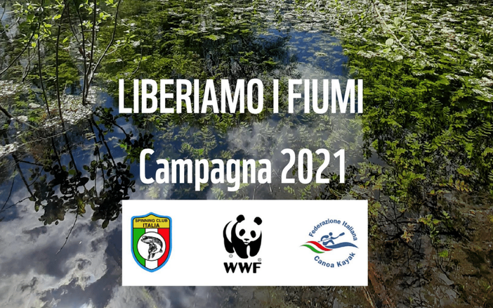 Oltre 11.000 le barriere che in Italia intrappolano i corsi d'acqua. Campagna Wwf, Federcanoa, Spinning Club Italia