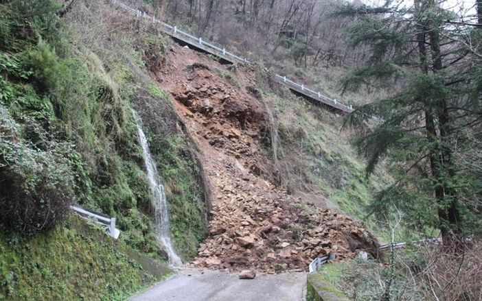 Tanti danni all'agricoltura a causa del 'maltempo estremo