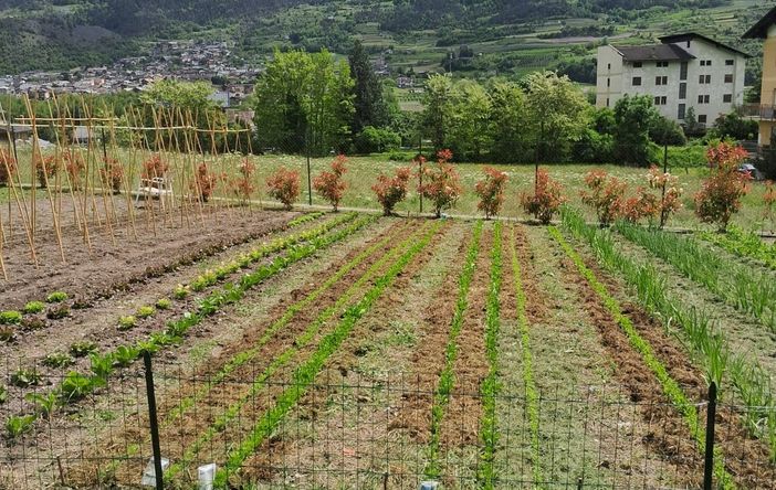 “Orti-Amo” verdura fresca a kilometro zero contro lo spreco, per la solidarietà