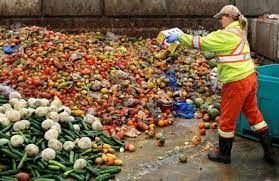 Le famiglie buttano via il 4,4% del cibo comprato in una settimana Le famiglie buttano via il 4,4% del cibo comprato in una settimana