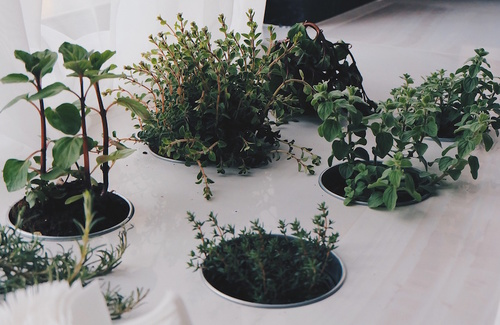 SALUTE BENESSERE E NON SOLO. Incontri per scoprire come stare bene