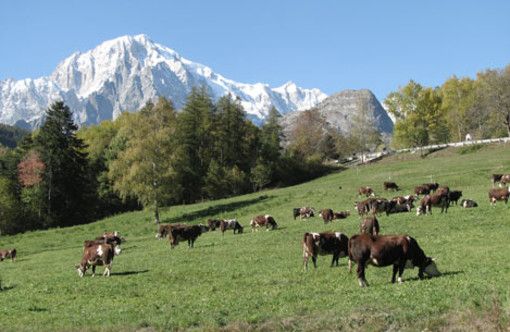 COMUNICAZIONE POLITICA AUTOGESTITA: UV, #FFF#Fridayforfuture Oggi è il giorno dei ragazzi di Greta! COMUNICAZIONE POLITICA AUTOGESTITA: UV, #FFF#Fridayforfuture Oggi è il giorno dei ragazzi di Greta!