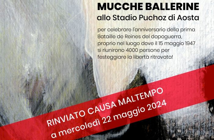 Rinviato lo spettacolo Mucche ballerine:  22 maggio, Stadio Puchoz ad Aosta