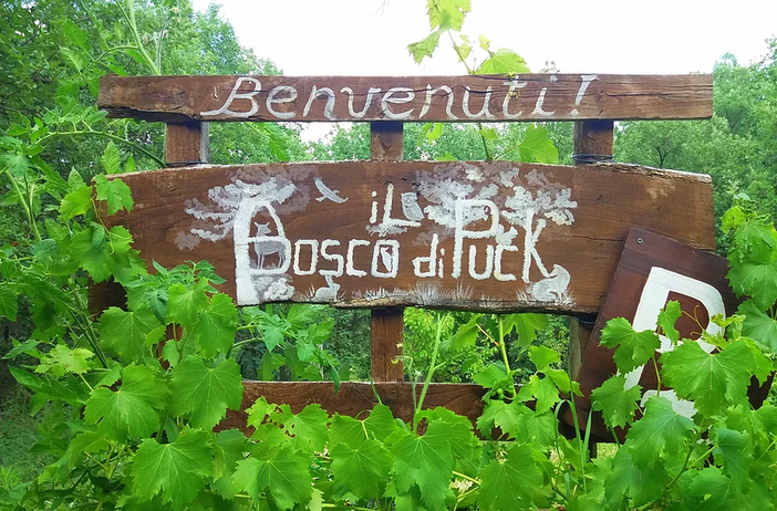 Il Bosco di Puck Il Bosco di Puck