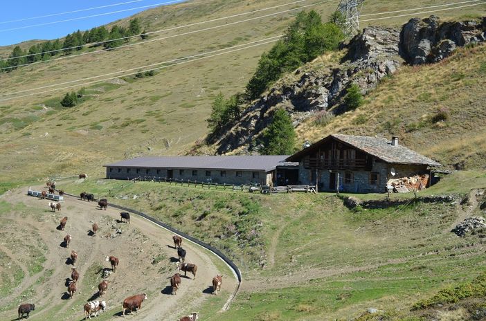 Grande successo per la prima uscita di Sapere e Sapori