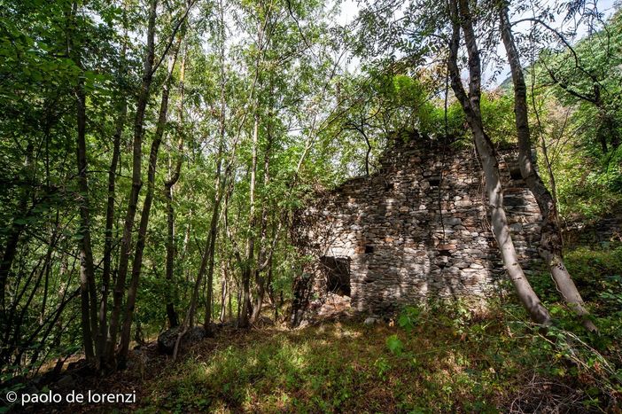 Mistero intorno alla morte di una giovane donna a La Salle Mistero intorno alla morte di una giovane donna a La Salle