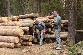 Foto repertorio Foto repertorio