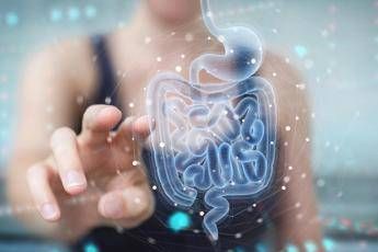 Malattie metaboliche, la svolta arriva dall'intestino: identificato batterio 'protettivo'