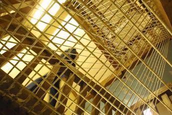 Allarme suicidi in carcere, Forza Italia apre a 'riforme'. Stop di Delmastro: "No a svuota-carceri"