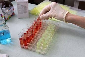 Svolta nella produzione di sangue artificiale, un 'segnale' può farla decollare Svolta nella produzione di sangue artificiale, un 'segnale' può farla decollare