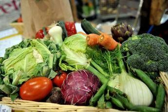 Microbioma alleato contro il mieloma: "Dieta ricca di fibre può frenarlo"