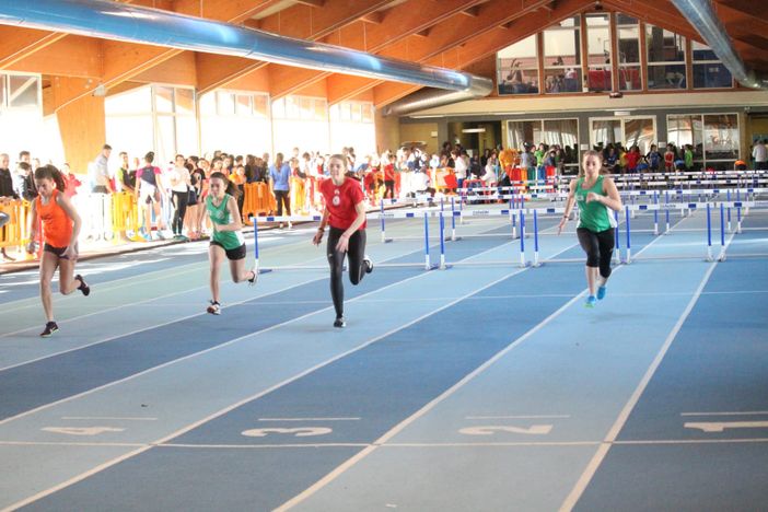 Bugie che fanno male soprattutto se a raccontarle e' un politico: il caso del Palaindoor e la fame di scoop