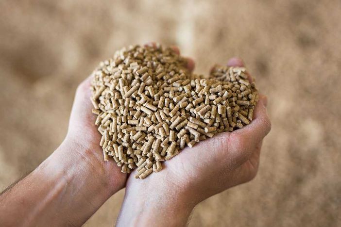 Alimentazione sana e sostenibile, un diritto per tutti Alimentazione sana e sostenibile, un diritto per tutti