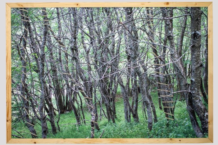 Una fotografia di Francesca Alti