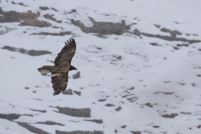 Foto Filippo Cravero Foto Filippo Cravero