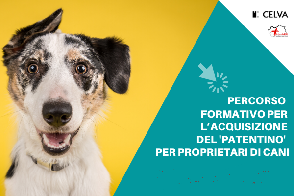 Iniziata, con il record di partecipanti, l’edizione 2021 del corso “Patentino” cani Iniziata, con il record di partecipanti, l’edizione 2021 del corso “Patentino” cani