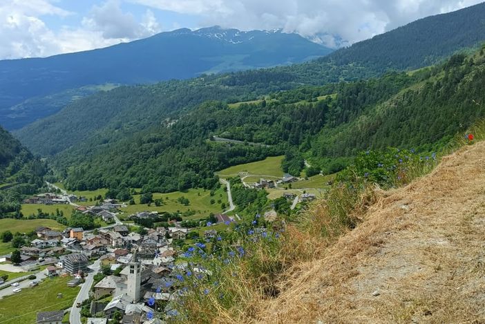 Valpelline: Consiglio approva il rendiconto 2024: avanzo di 486mila euro e nuovi investimenti per strade, imprese e post-emergenza Valpelline: Consiglio approva il rendiconto 2024: avanzo di 486mila euro e nuovi investimenti per strade, imprese e post-emergenza