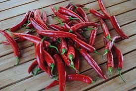 L’OPINIONE DI UN LETTORE: La politica della ripicca L’OPINIONE DI UN LETTORE: La politica della ripicca