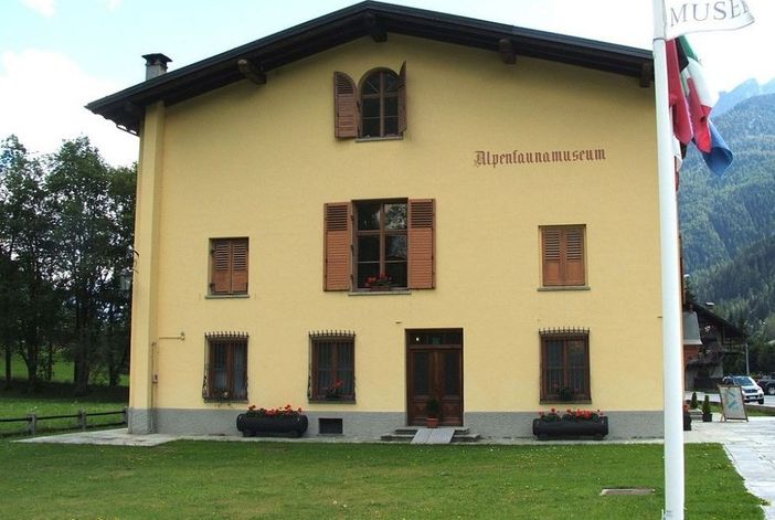 Chiusura temporanea dell'Alpenfaunamuseum di Gressoney Chiusura temporanea dell'Alpenfaunamuseum di Gressoney