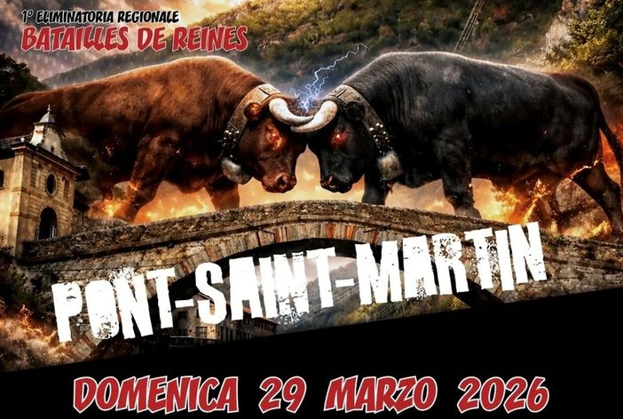 Batailles de Reines, a Pont-Saint-Martin si riaccende il cuore della Valle: 145 bovine verso il sogno della Croix-Noire Batailles de Reines, a Pont-Saint-Martin si riaccende il cuore della Valle: 145 bovine verso il sogno della Croix-Noire