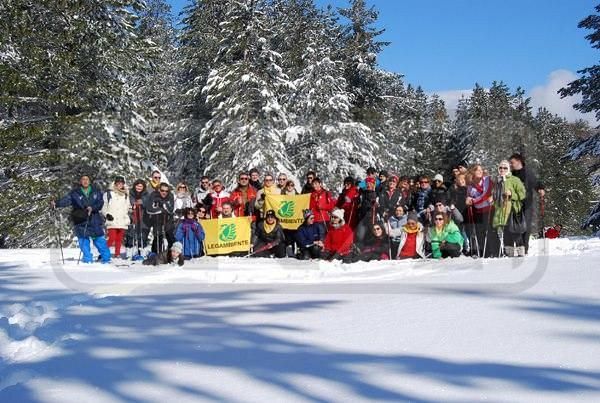 foto repertorio foto repertorio