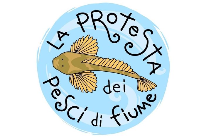 La protesta dei pesci di fiume, tre presidi contro inquinamento e prosciugamento torrenti