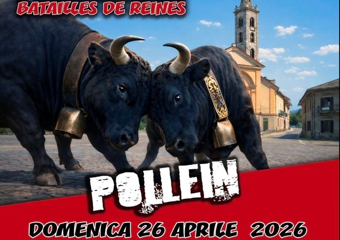 Batailles de Reines: 220 bovine in lizza per l’ultimo trono di primavera Batailles de Reines: 220 bovine in lizza per l’ultimo trono di primavera