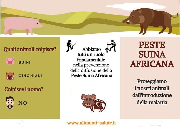 Valle d'Aosta indenne da peste suina africana
