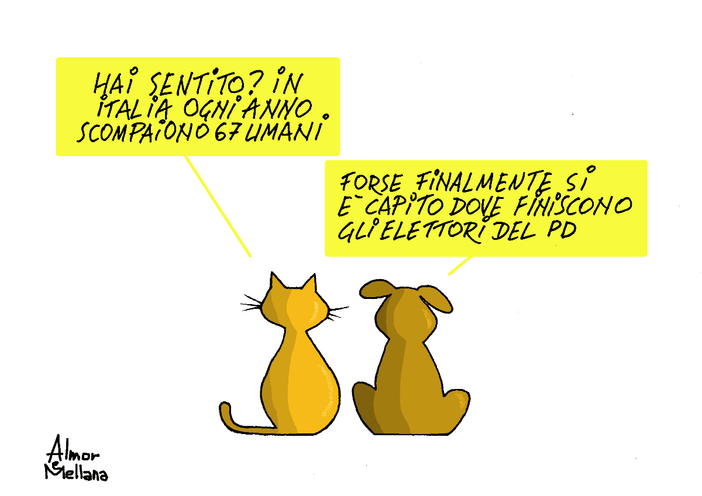 LE VIGNETTA DELLA SETTIMANA... LE VIGNETTA DELLA SETTIMANA...