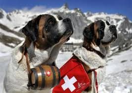 TURISMO: Dopo l'estate 'valdostana' i cani Barry del Gran San Bernardo tornano a Martigny