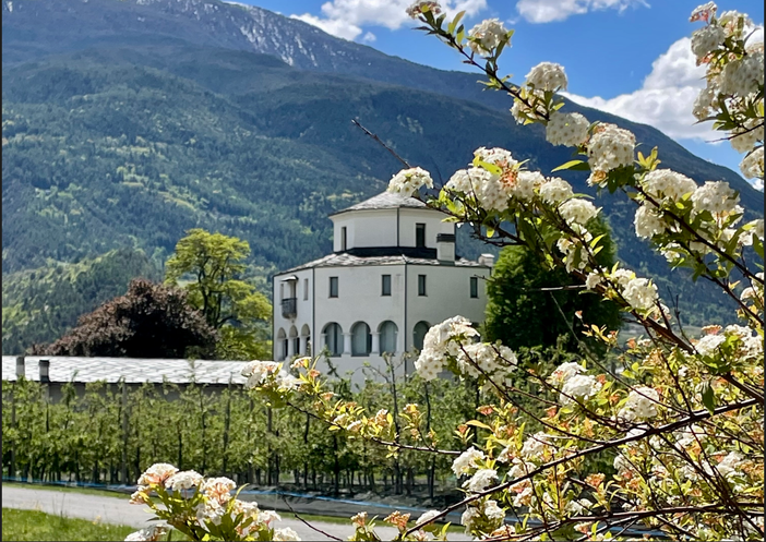 Benvenuta Primavera 2024: un'esplosione di vita e rinascita