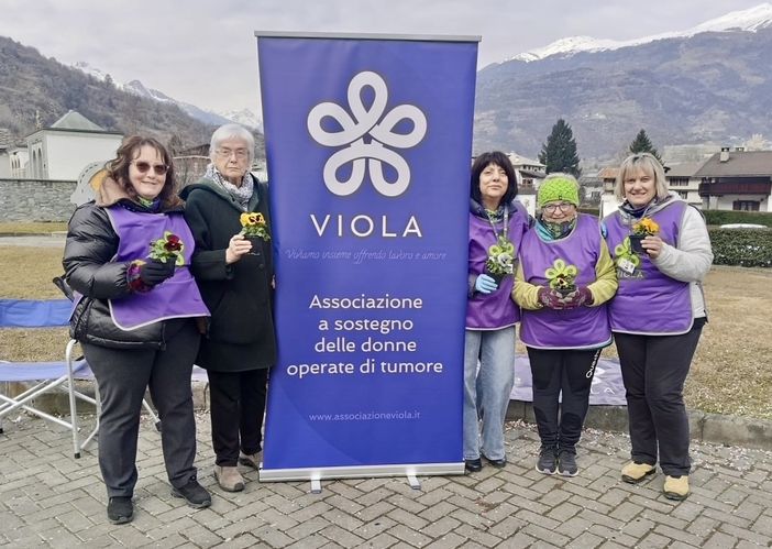 L'importanza del Volontariato: un esempio di solidarietà e impegno nella lotta contro il tumore femminile L'importanza del Volontariato: un esempio di solidarietà e impegno nella lotta contro il tumore femminile