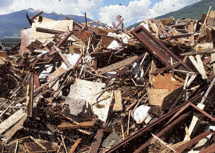 Discarica di Brissogne invasa dalle api Discarica di Brissogne invasa dalle api