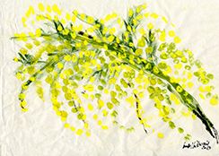 L’8 marzo non è una festa, ma la Giornata internazionale della donna L’8 marzo non è una festa, ma la Giornata internazionale della donna