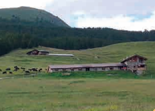 Prosegue il Tour Alpages Ouvertes