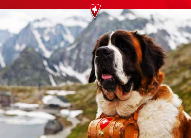 La traditionnelle désalpe de chiens Saint-Bernard aura lieu le samedi 28 septembre 2019 La traditionnelle désalpe de chiens Saint-Bernard aura lieu le samedi 28 septembre 2019