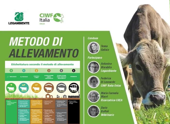 Etichettatura benessere animale: “Tradisce la fiducia dei consumatori prima ancora di arrivare sul mercato” Etichettatura benessere animale: “Tradisce la fiducia dei consumatori prima ancora di arrivare sul mercato”