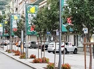 Aosta: Chiude al traffico per quattro giorni una carreggiata di viale Conte Crotti