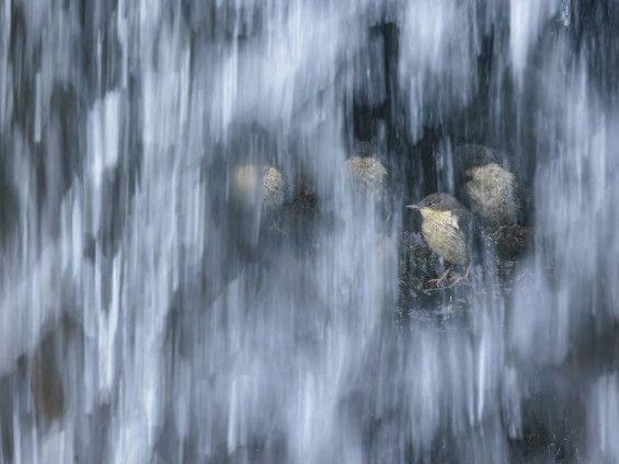 Fabrizio Stefani si aggiudica il primo premio del XVIII concorso fotografico “Sottosopra” di Fondation Grand Paradis
