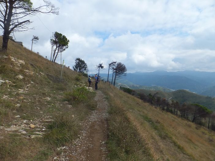 ph. Lodovico Marchisio