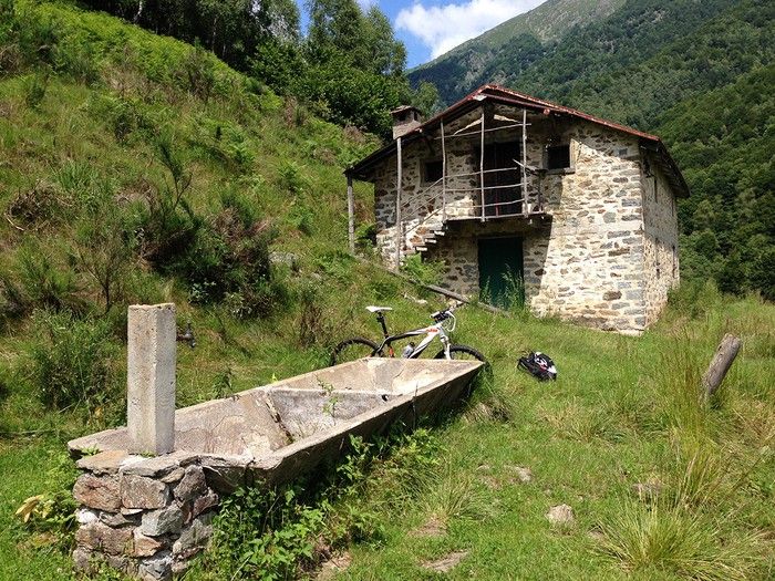 La vecchia fattoria della fantapolitica La vecchia fattoria della fantapolitica