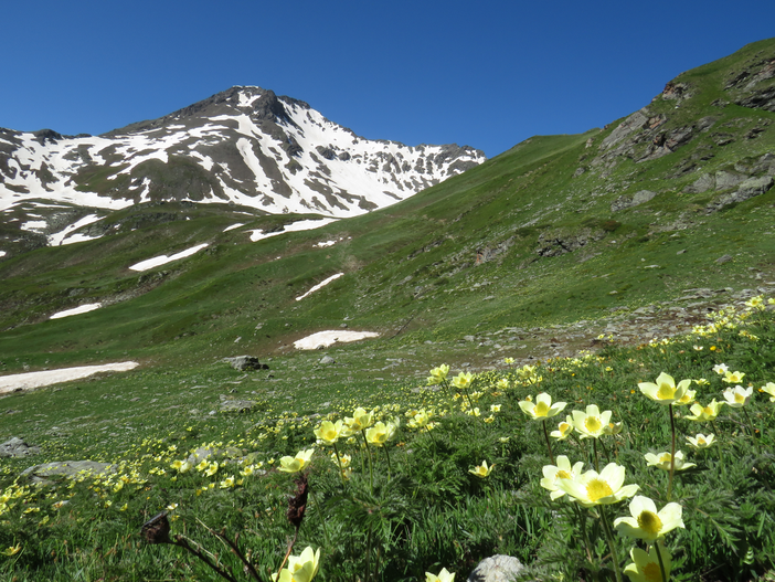 Nasce una app per le attività outdoor nell’area Grand Combin