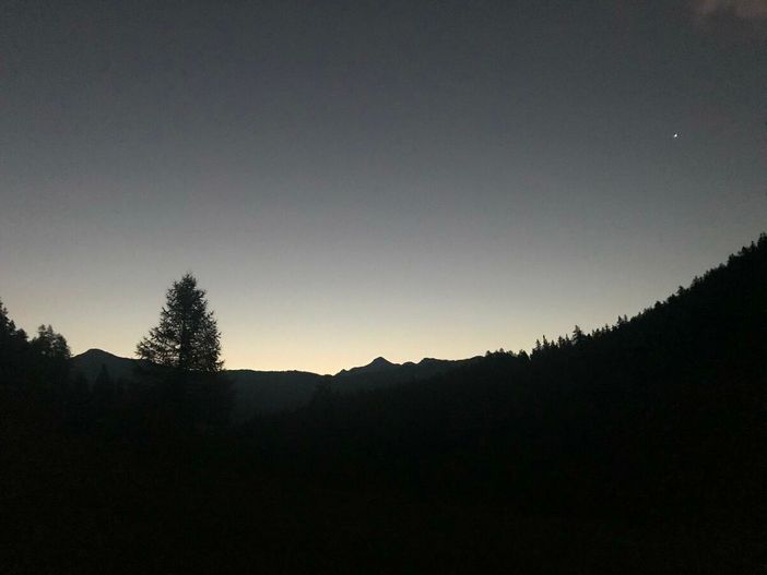 Salviamo il Buio: Perché la Notte Naturale fa Bene alla Natura e a Noi