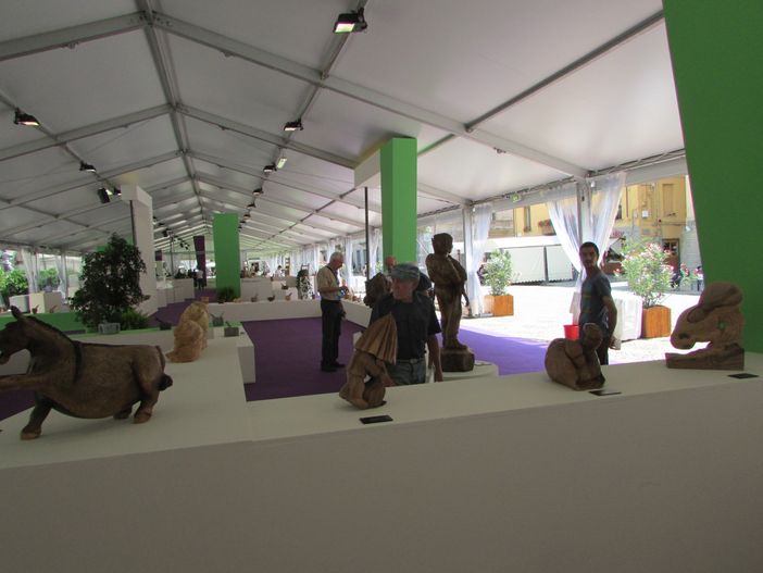 Visitatori alla Mostra